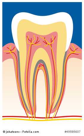 Zahnnerv Was Wenn Der Zahn Auf Einmal Uberempfindlich Reagiert